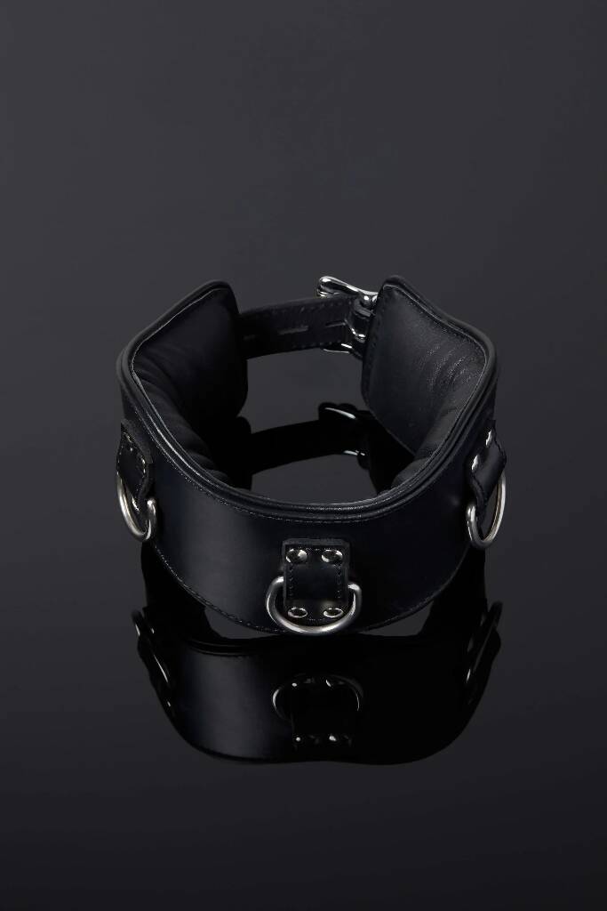 House-of-SXN-Servage_Classic_Posture_Collar_High_1