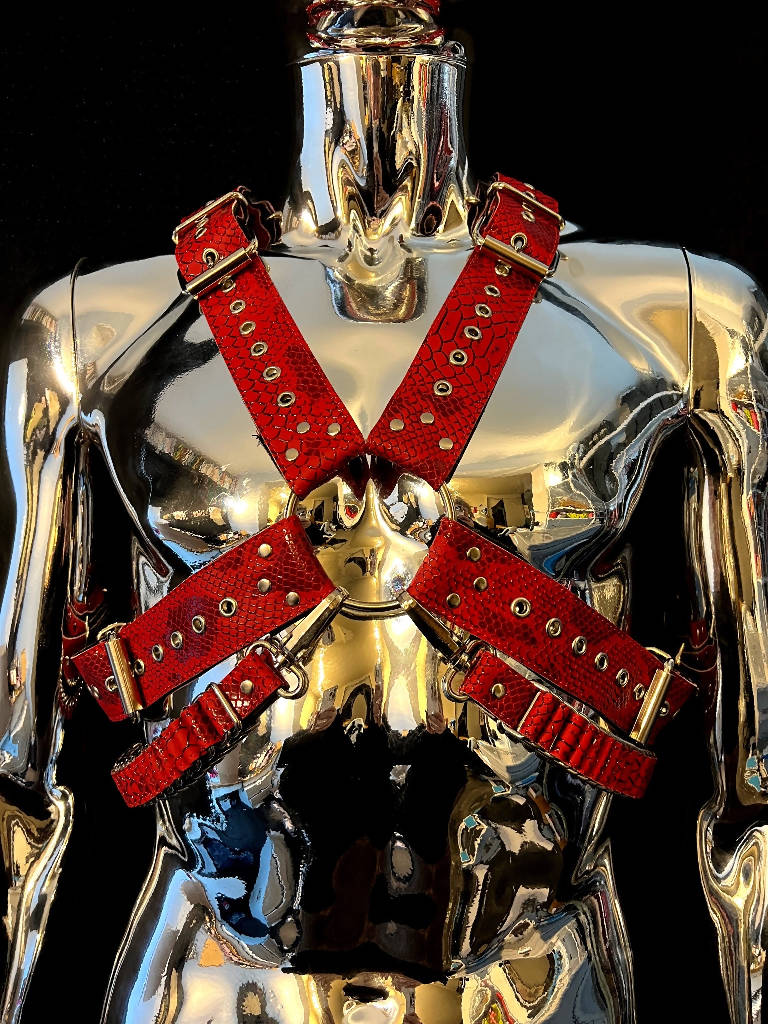 Men's ‘X’ Chest Harness