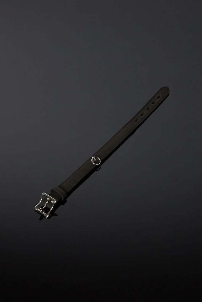 House_of_SXN_Subtilis_Collar_4